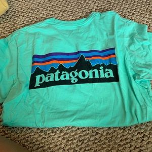 Patagonia t-shirt